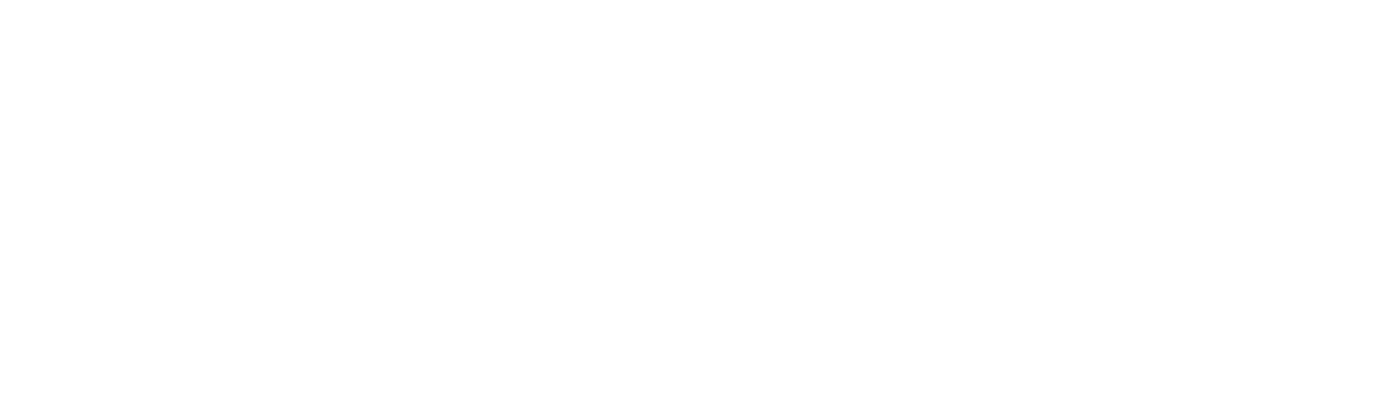 Black-Forest-white-word-logo