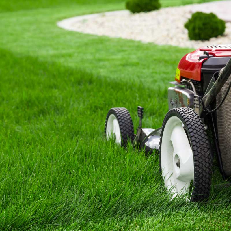 mowing-the-lawn