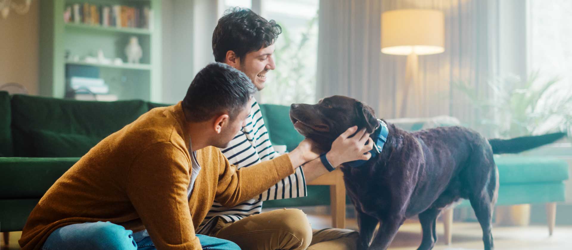 playing-with-dog-in-living-room